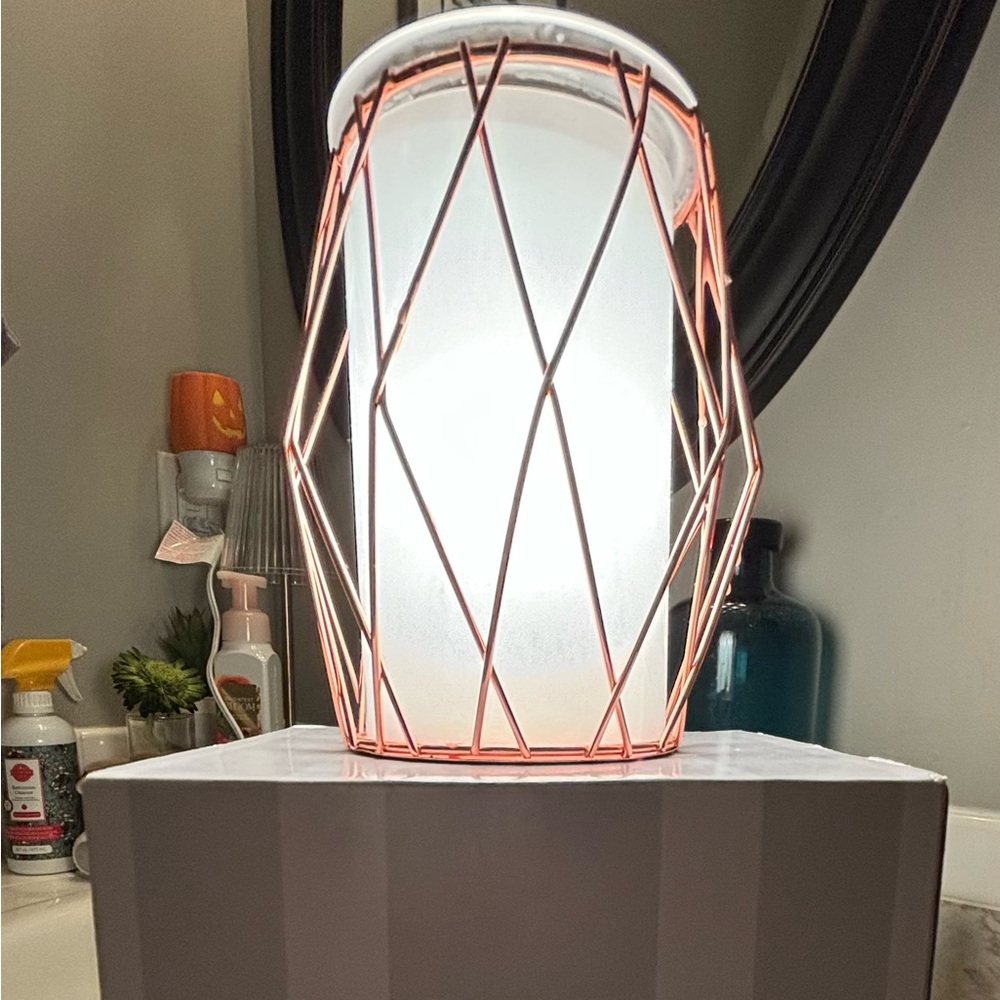 Scentsy Warmer Wire you Blushing
